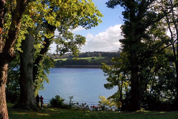 A lake surrounded by woods