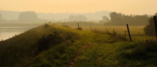 A misty sunrise on a grassy field beside water 