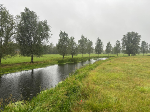 Wet tales from the riverbank