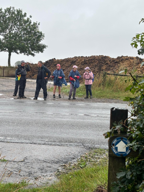 Mucking around crossing the  road