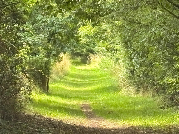 Tunnel vision