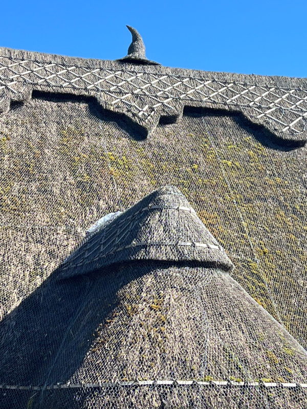 thatched roof