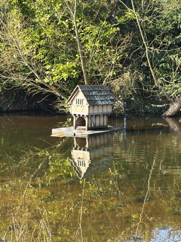 duck house on pond