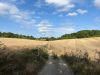 A view as the fields open out on the route