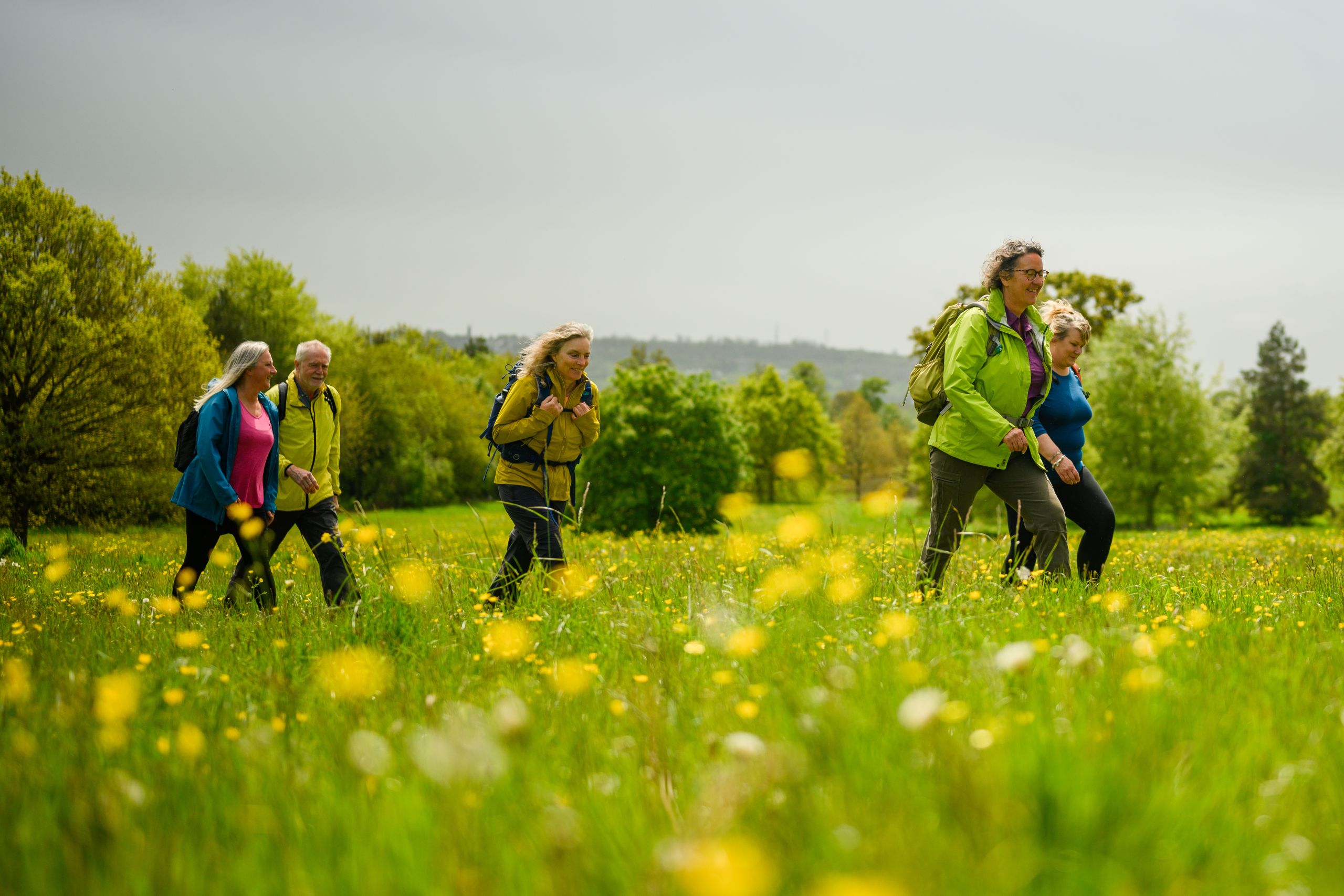 Go walking - Ramblers