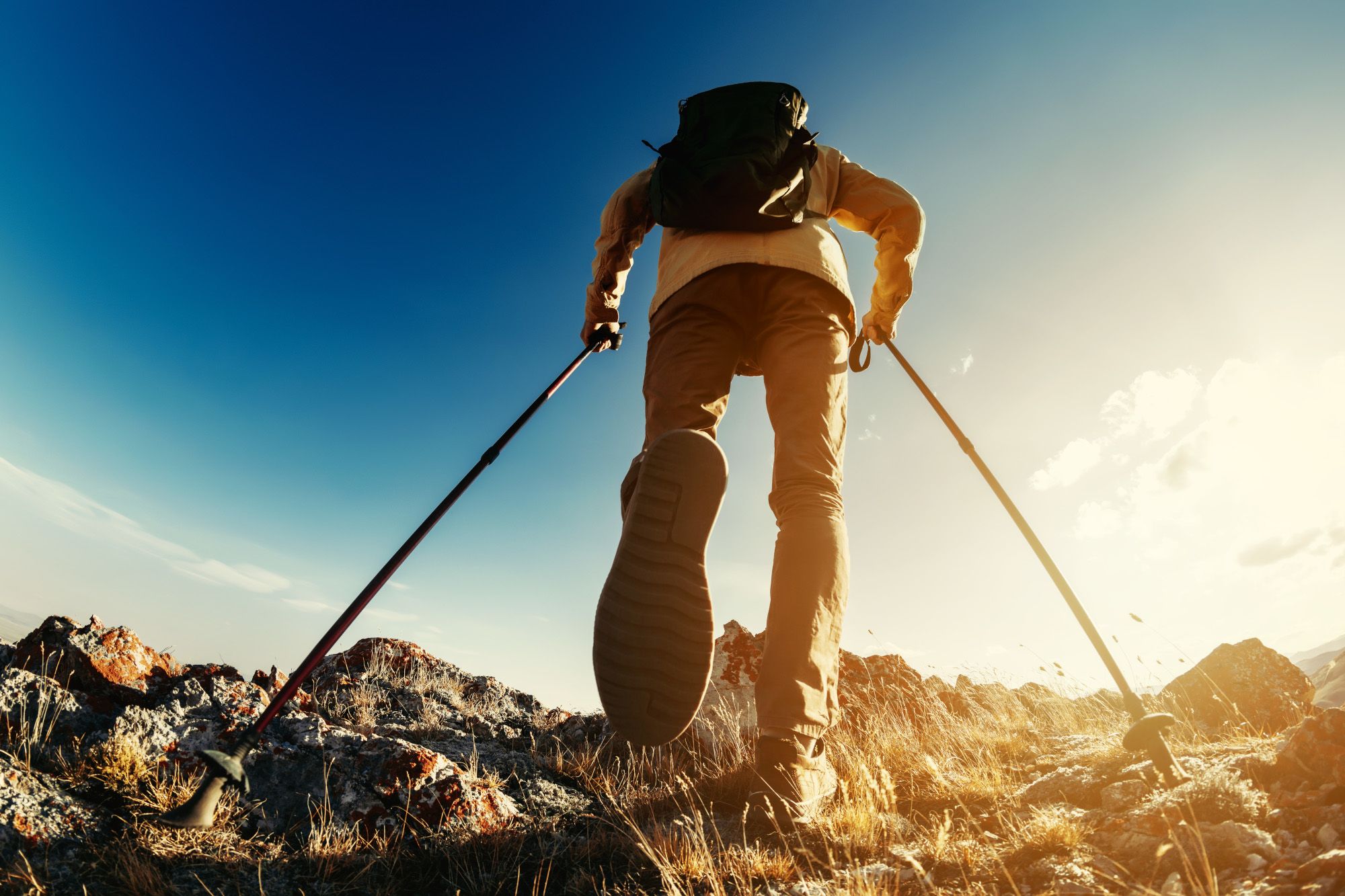 Best walking poles tested in 2024: hiking poles for all abilities 