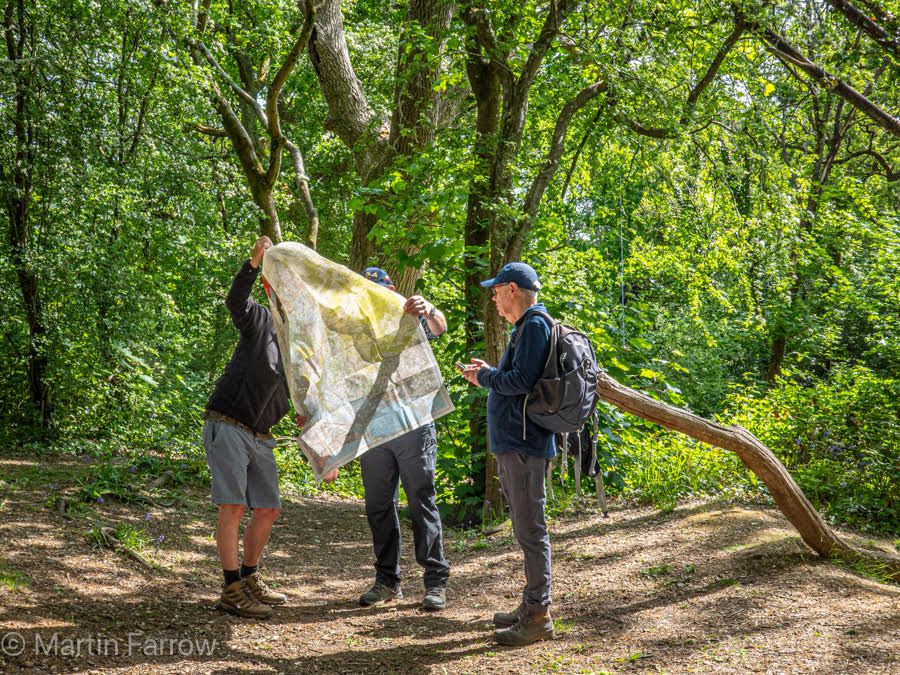Three Ramblers and a big map in New Forest