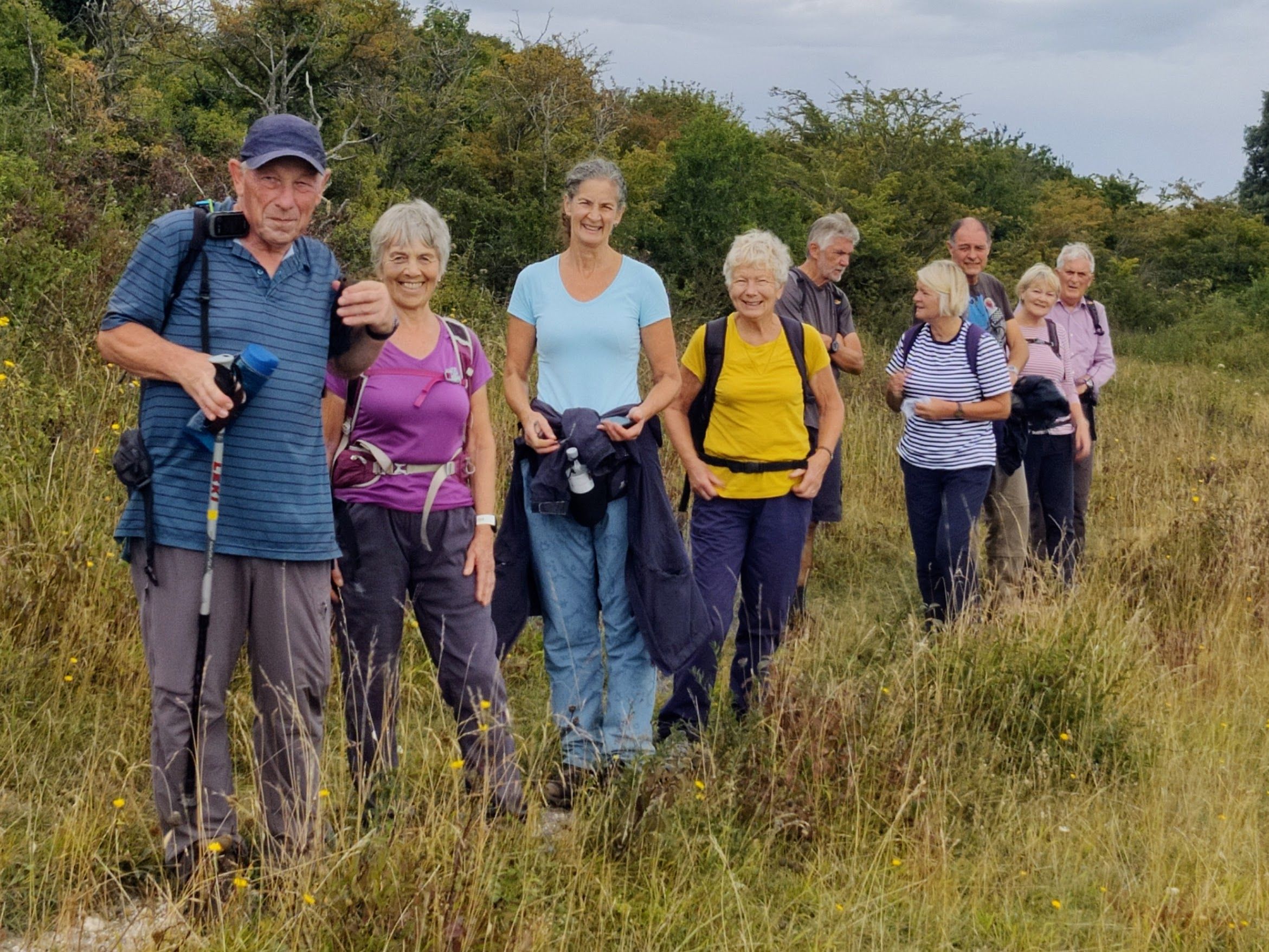 A line of hikers in a summer landscape