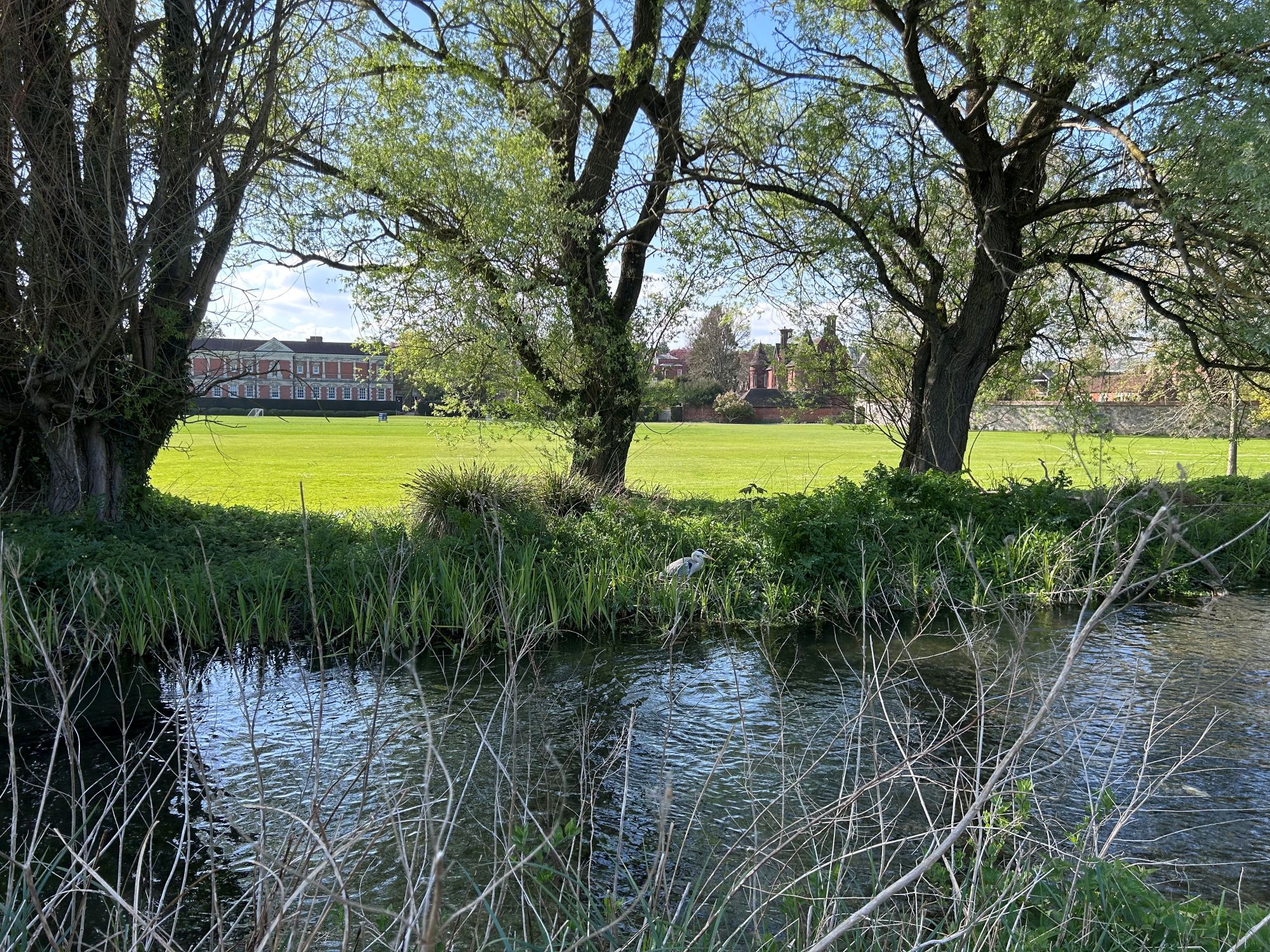 Winchester River View 2026