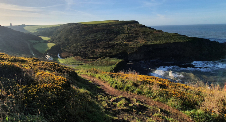 A panoramic view of the South West Coast Path winding its way around a bay